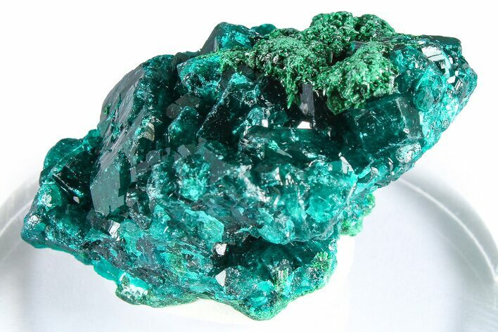 Emerald-Green Dioptase Crystal Cluster w/ Malachite - DR Congo #379402